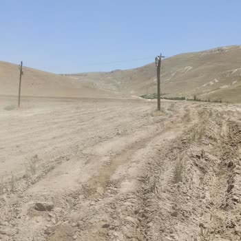 Tarlamda İzinsiz Direkler Tarım Yapamıyorum Çözüm Bulamıyorum