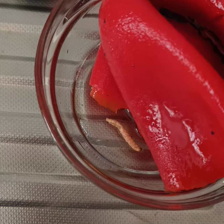 Közlenmiş Biberde Yabancı Madde Çıkması Ve Hayal Kırıklığı