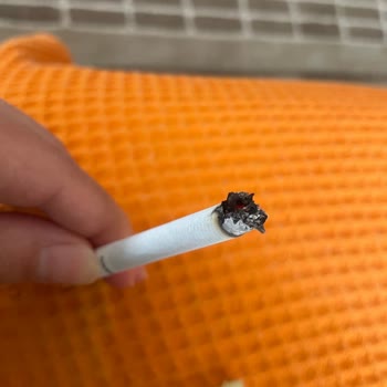 Sigarada Tütün Kalitesi Ve İçim Keyfi Hayal Kırıklığı