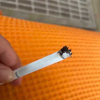 Sigarada Tütün Kalitesi Ve İçim Keyfi Hayal Kırıklığı