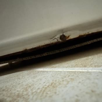 Samsung Ek Garanti ve Paslanma Sorunu Ciddiye Alınmıyor