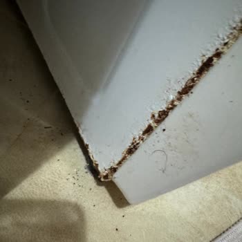 Samsung Ek Garanti ve Paslanma Sorunu Ciddiye Alınmıyor