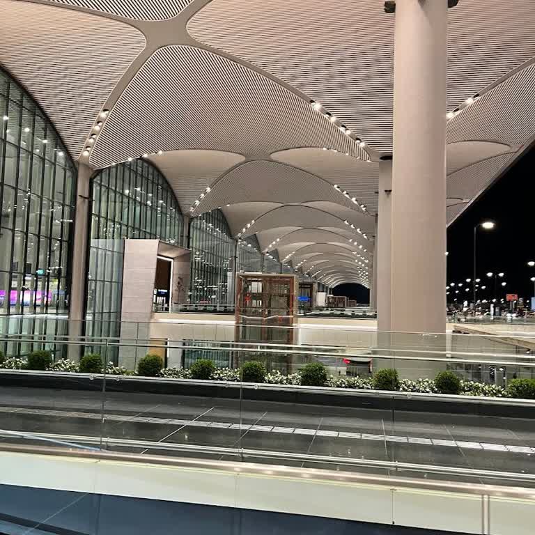 Bebek Arabamız Yanlışlıkla Geri Gönderildi, Kimse Yardımcı Olmuyor