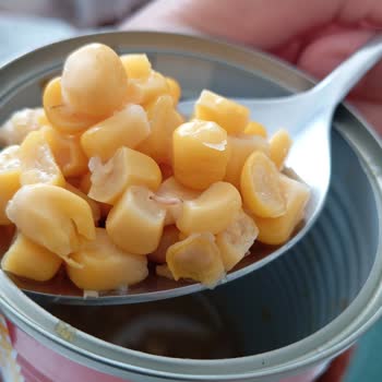 Tada Mısır Konservesi İçinden Kurt Ve Kurtçuk Çıktı