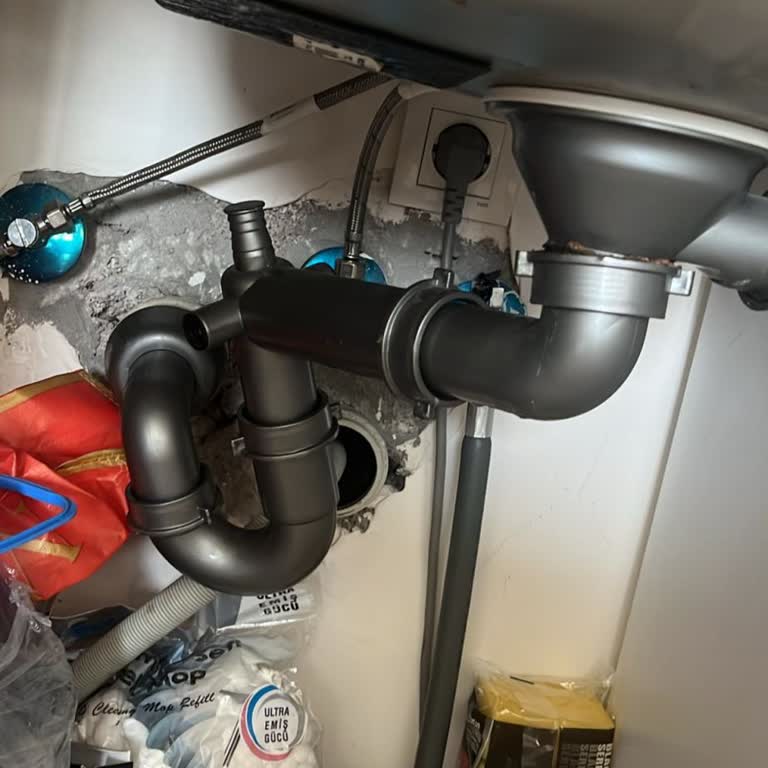 Dairemde Fare Sorunu Ve Yetersiz Yönetim Desteği