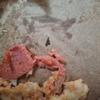 Dominos Pizzada Ve Suflede Çıkan Siyah Yabancı Maddeler
