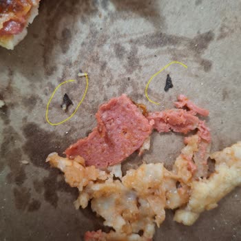 Dominos Pizzada Ve Suflede Çıkan Siyah Yabancı Maddeler