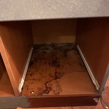 Fudera Temizlik Şirketleri Hizmetinden Memnun Kalmadım