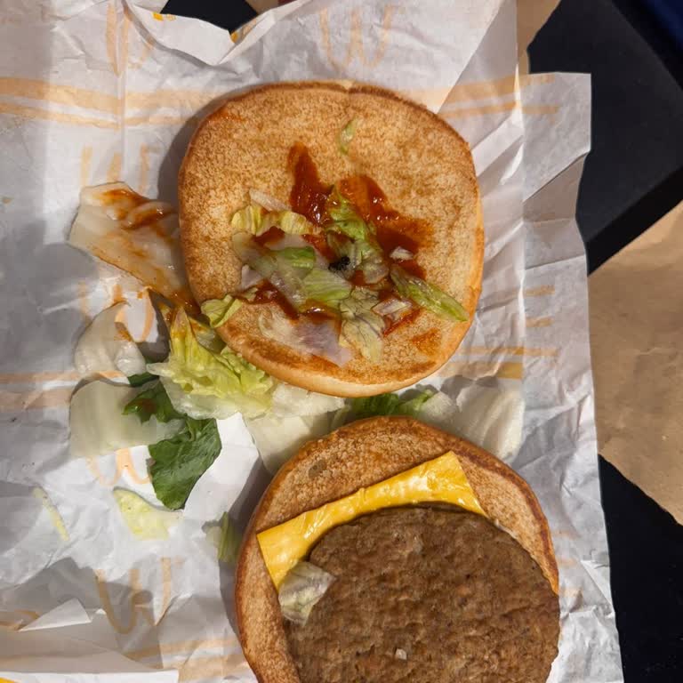 Burger Menüde Ölü Sinek Çıkması Ve Kontrol Eksikliği