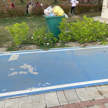 Halkalı Millet Bahçesi'nde Çöp Ve Sinek Sorunu: Temizlik İhmali