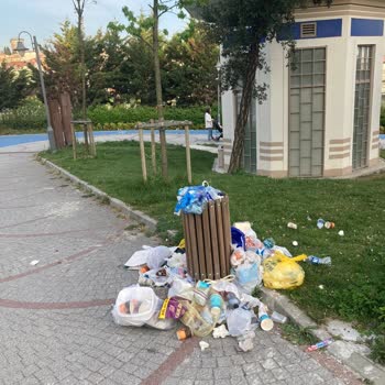 Halkalı Millet Bahçesi'nde Çöp Ve Sinek Sorunu: Temizlik İhmali