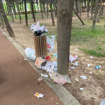 Halkalı Millet Bahçesi'nde Çöp Ve Sinek Sorunu: Temizlik İhmali