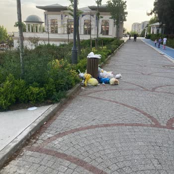 Halkalı Millet Bahçesi'nde Çöp Ve Sinek Sorunu: Temizlik İhmali