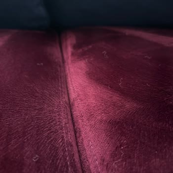 Yeni Alınan Koltuktan Çıkan Yünler Ve İlgisiz Müşteri Hizmetleri