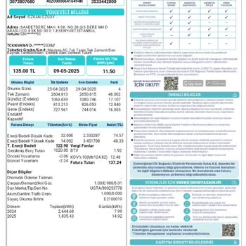 Aynı Ayda Üç Fatura Şoku: CK Boğaziçi Elektrik Mağduriyeti