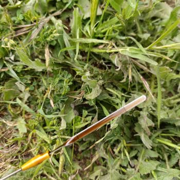 Citroen Ücretsiz Bakımda Eksik Hizmet Ve Müşteri Memnuniyetsizliği