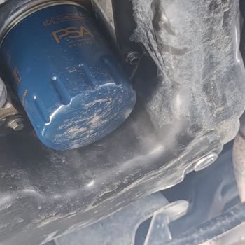 Citroen Ücretsiz Bakımda Eksik Hizmet Ve Müşteri Memnuniyetsizliği