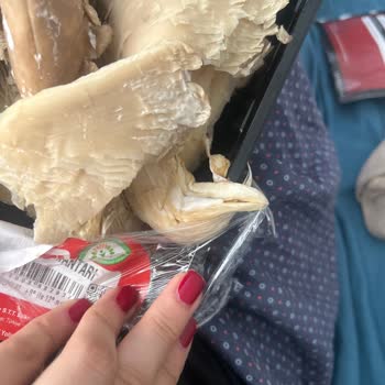 Migros'tan Aldığım İstiridye Mantarı Küflü Çıktı, Çocuklar Zehirlenebilirdi