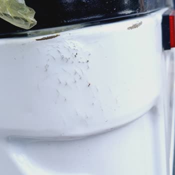 Sipariş Ettiğim Motosiklet Hasarlı Ve Yırtık Şekilde Teslim Edildi