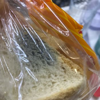 Son Kullanma Tarihi Geçmiş Ve Küflü Ürün Teslimatı