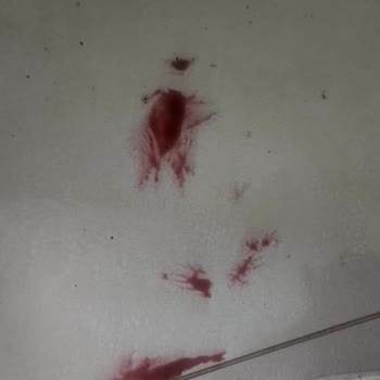 Gebze Şok Markette Eksik Teslimat Ve İade Sorunu Yaşadım