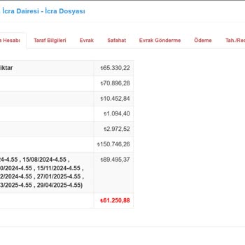 İcra Tutarı Ve Hatalı Araç Haczi Hakkında Düzeltme Talebi