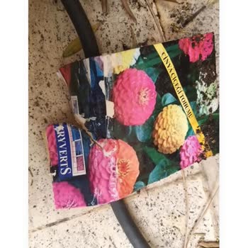 A101'den Aldığım Çiçek Tohumları Hiç Çimlenmedi Umudum Ve Param Boşa Gitti