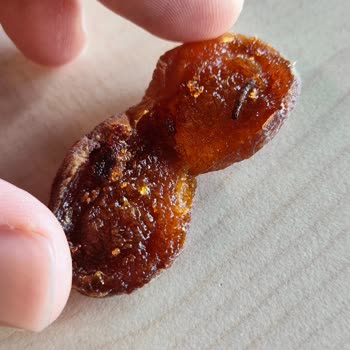 Kurutulmuş Kayısıda Kurt Ve Daha Önce De Kıl Yumağı Buldum Hijyen Şüpheli