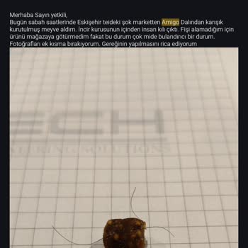 Kurutulmuş Kayısıda Kurt Ve Daha Önce De Kıl Yumağı Buldum Hijyen Şüpheli