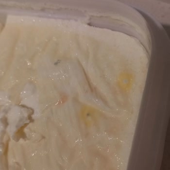 Aldığım Yoğurtta Kısa Sürede Küflenme Sorunu Yaşadım