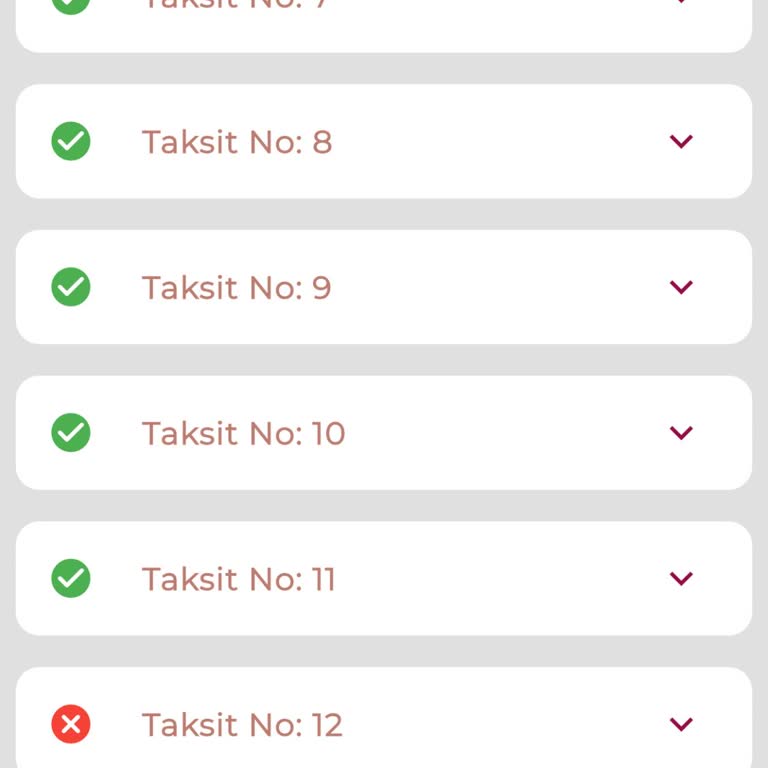Leasing Firmasında Ödeme Ve Borç Takibi Sorunları Çözülmüyor