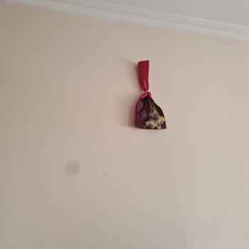 Samsung Galaxy S20 Arka Kamerada Hareket Eden Siyah Leke Sorunu Mağduriyet Yaratıyor