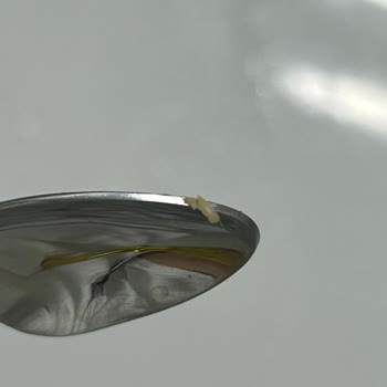 Hipp Bebek Mamasında Kurt Çıkmasıyla Büyük Şok Yaşadım