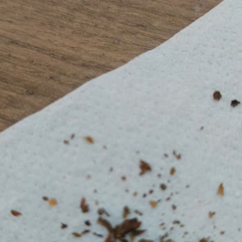 Marlboro Edge Sigara Kalitesizliği Ve Paket Sorunları