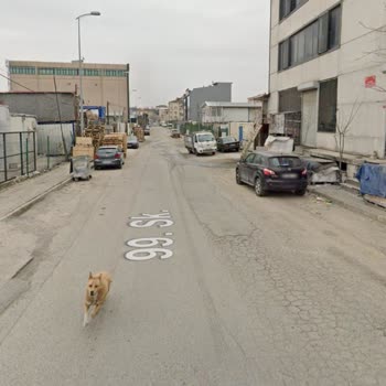Ataşehir Ferhatpaşa'da Saldırgan Sokak Köpekleri Nedeniyle Yaşanan Güvenlik Sorunu