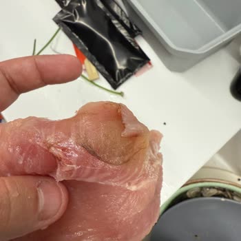 Aldığım Hindi Göğüs Etinde Yeşerme Sorunu Ve Güven Kaybı