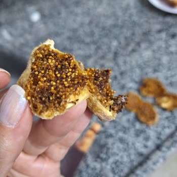 Aldığım Kuru İncirden Böcek Ve Küf Çıktı, Sağlık Riski!