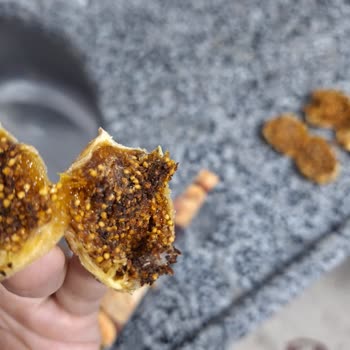 Aldığım Kuru İncirden Böcek Ve Küf Çıktı, Sağlık Riski!