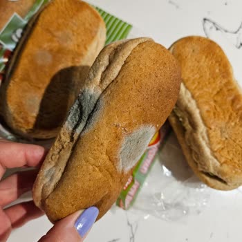 UNO Sandviç Ekmeği Küflü Çıktı