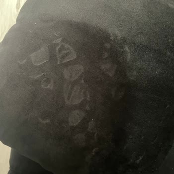 Yanlış Ve Defolu Koltuk Teslimatı, İade Sürecinde Belirsizlik