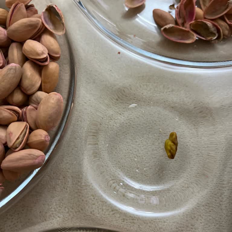 Aldığım Fıstıklar Çürük Çıktı, İade Edemedim