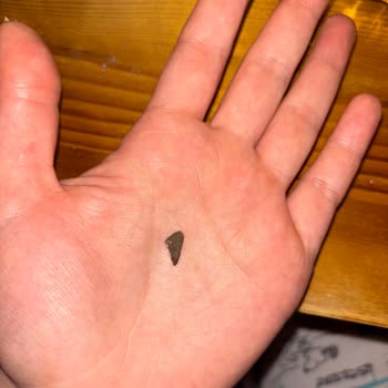 Mercimek Yemeğinden Taş Çıkması Nedeniyle Hayal Kırıklığı