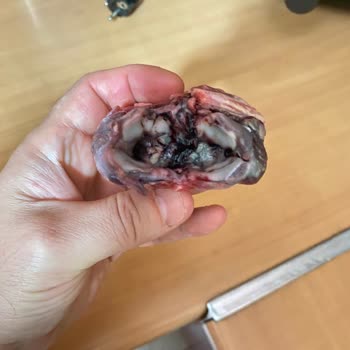 Aldığım Kuzu Kemiklerinde Ağır Koku Ve Morarma Sorunu