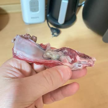 Aldığım Kuzu Kemiklerinde Ağır Koku Ve Morarma Sorunu