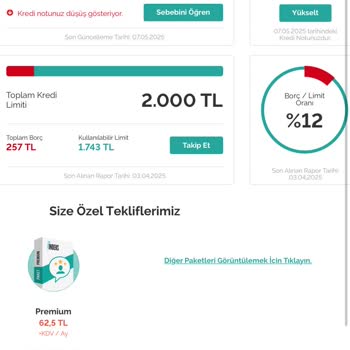 Düzenli Ödememe Rağmen Kredi Notum Düşüyor