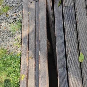 Hijyen Sorunları, Eksik Eşyalar Ve Güvenlik Tehlikesi Yaşadığımız Forester Bungalov Konaklaması