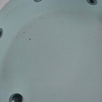 Hijyen Sorunları, Eksik Eşyalar Ve Güvenlik Tehlikesi Yaşadığımız Forester Bungalov Konaklaması