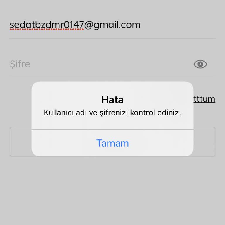 Mavi Uygulamasında Giriş Yapamıyorum Mail Gelmiyor Hesap Kullanılamıyor