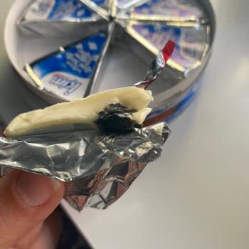 Son Kullanma Tarihi Geçmemiş Üçgen Peynirde Küf Sorunu