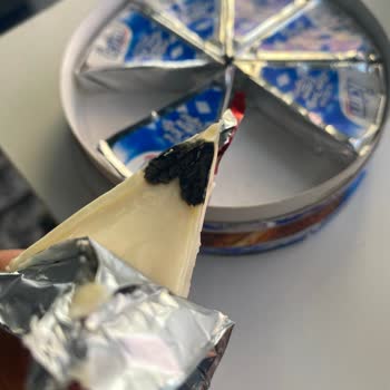 Son Kullanma Tarihi Geçmemiş Üçgen Peynirde Küf Sorunu